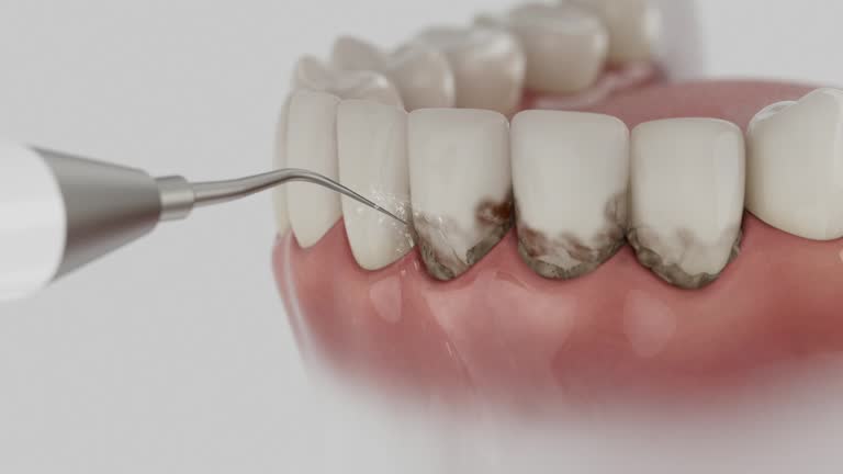 Reliable Dental contractor in Kiawah Island, SC by Dentist Open Now
